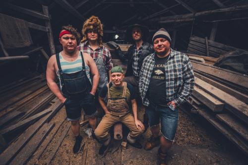 Steve'n'Seagulls  stevenseagulls.com